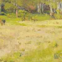 Spring Debut 23.5x48in