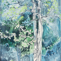 Magic Tree