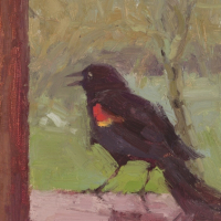 Call 7"x5"