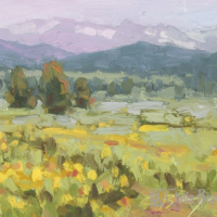 Steamboat Lake Postcard 4"x6"