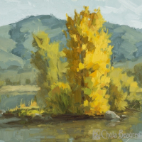 Mid-Valley-Morning-small-copy