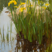 Summer Reflection 8x10 in (sold)